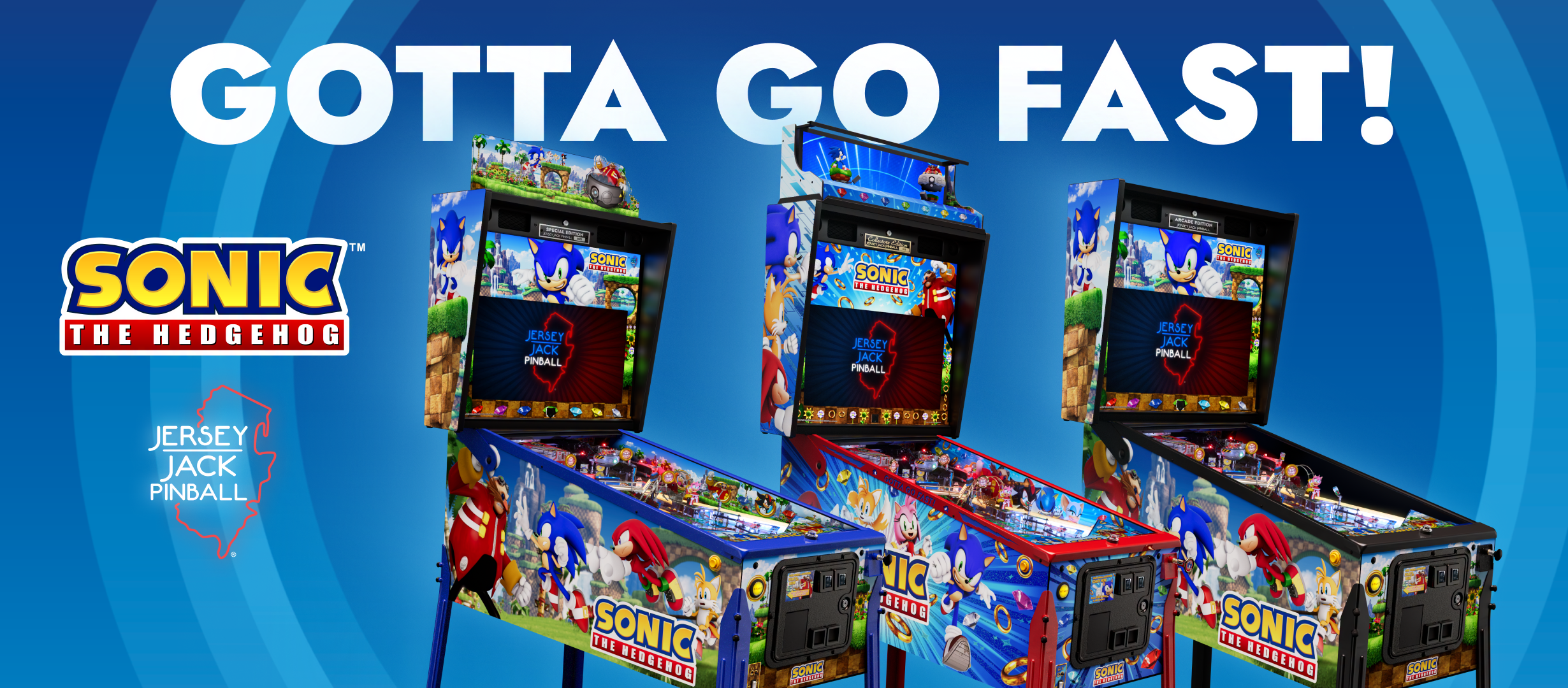 Mehr über den Artikel erfahren Sonic The Hedgehog Pinball